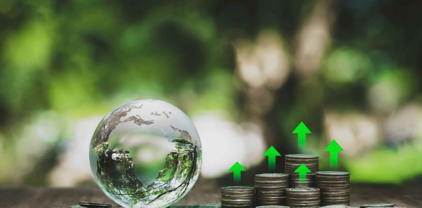 freecompress-shutterstock_2312086733